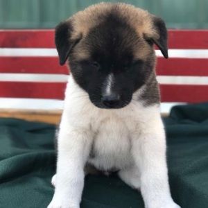 Meet your Posher, Sanela